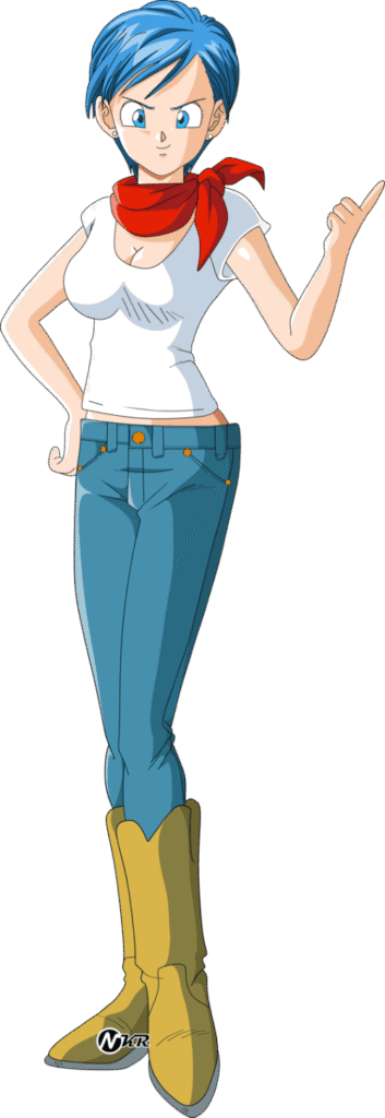 Bulma Briefs (Dragon Ball Series)